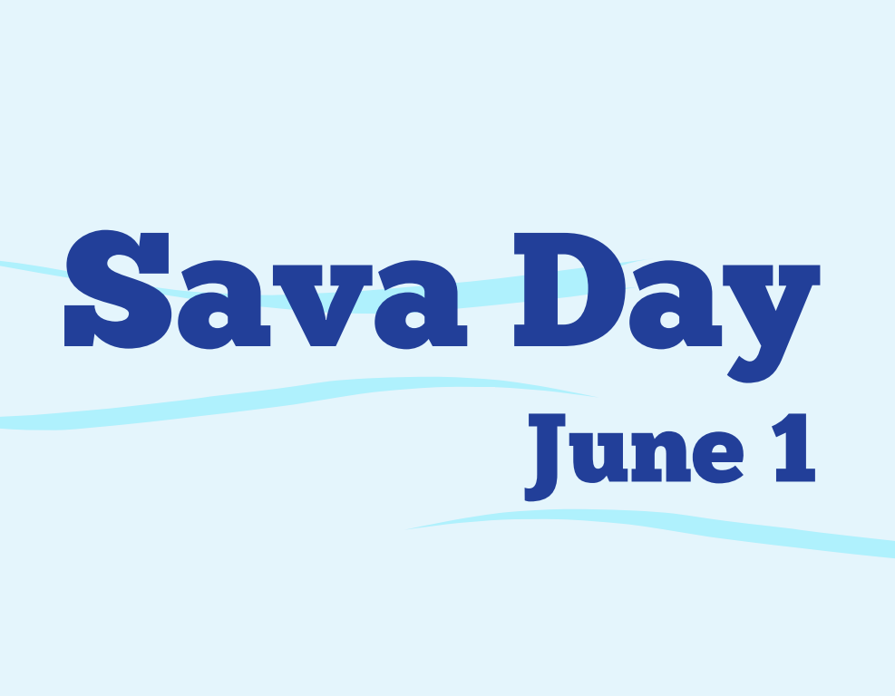 Sava Day 2021: Installation of high water marks